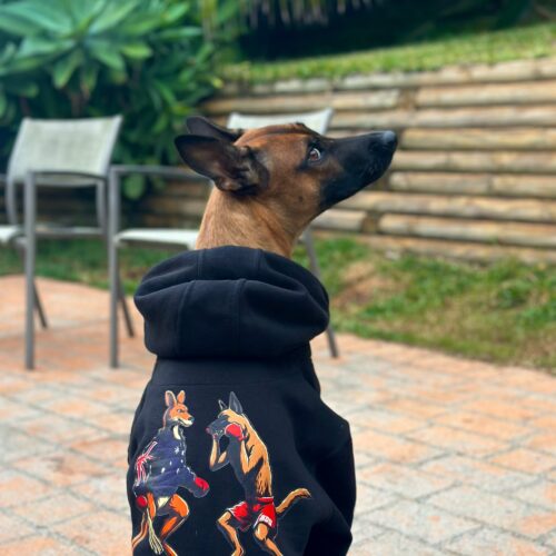 Brown dog sitting on a brick patio wearing a black hoodie with a boxing kangaroo and dog graphic on the back