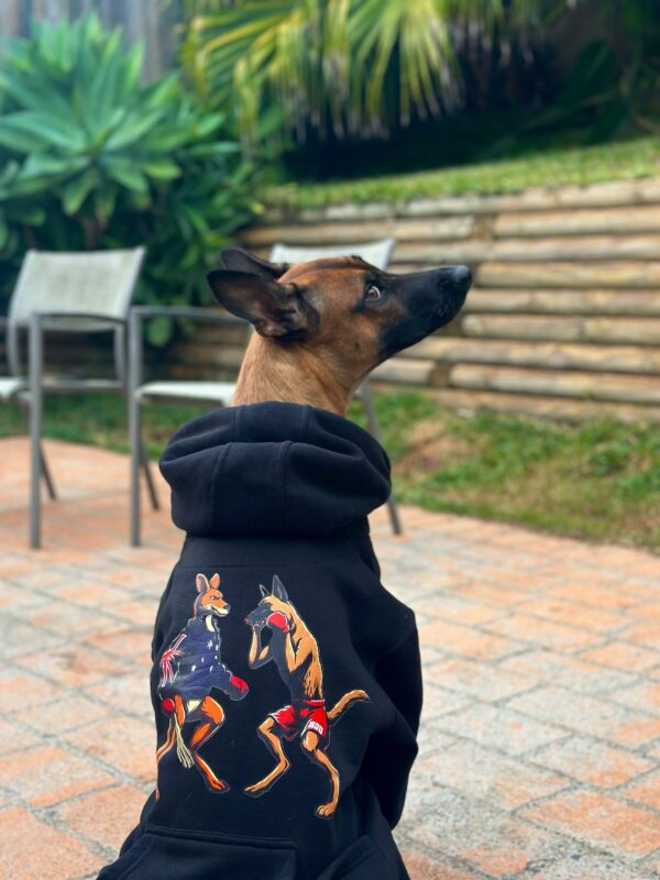 Brown dog sitting on a brick patio wearing a black hoodie with a boxing kangaroo and dog graphic on the back