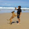 Dog playing with a Floating Ball Reward