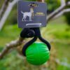 Green Floating Ball Reward