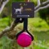 Pink Floating Ball Reward
