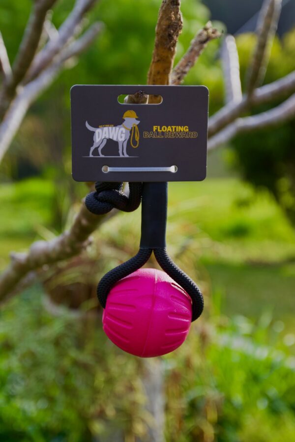 Pink Floating Ball Reward