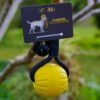 Yellow Floating Ball Reward