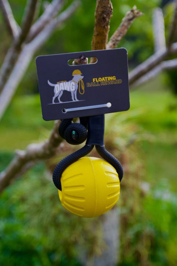 Yellow Floating Ball Reward