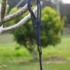 Black 5mm slip leash