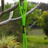 Green 5mm slip leash