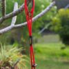 Red 5mm slip leash